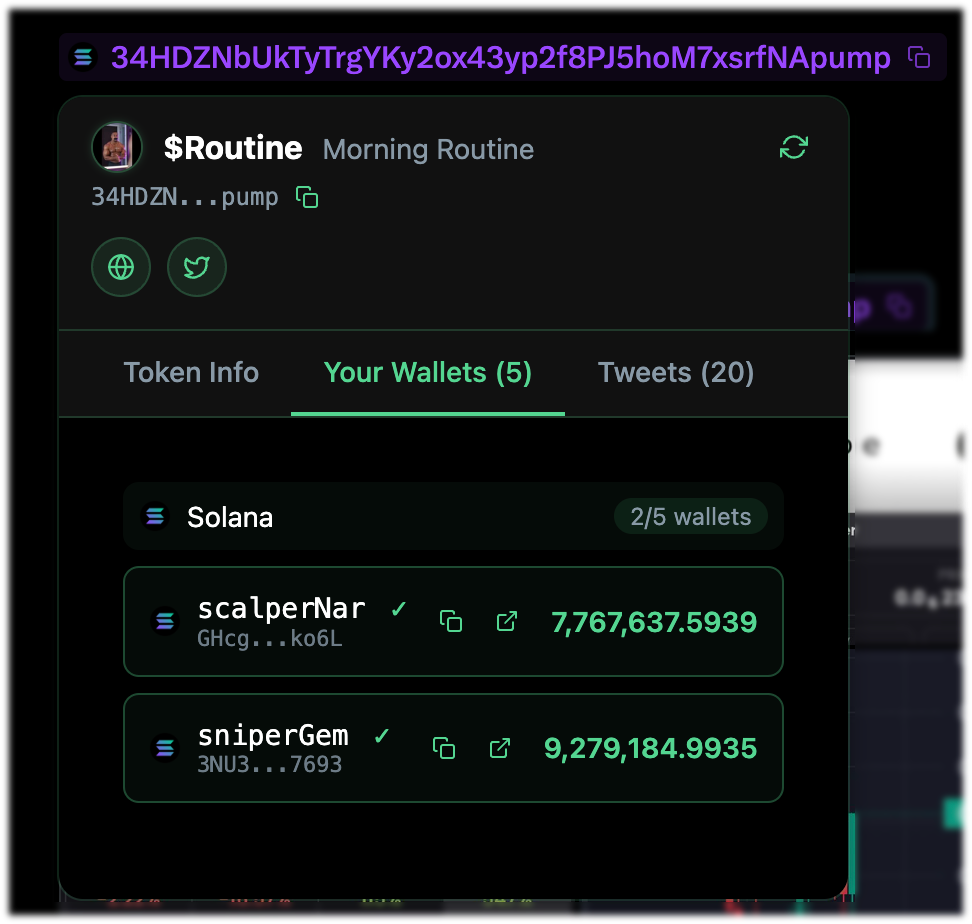 Wallet Management Interface